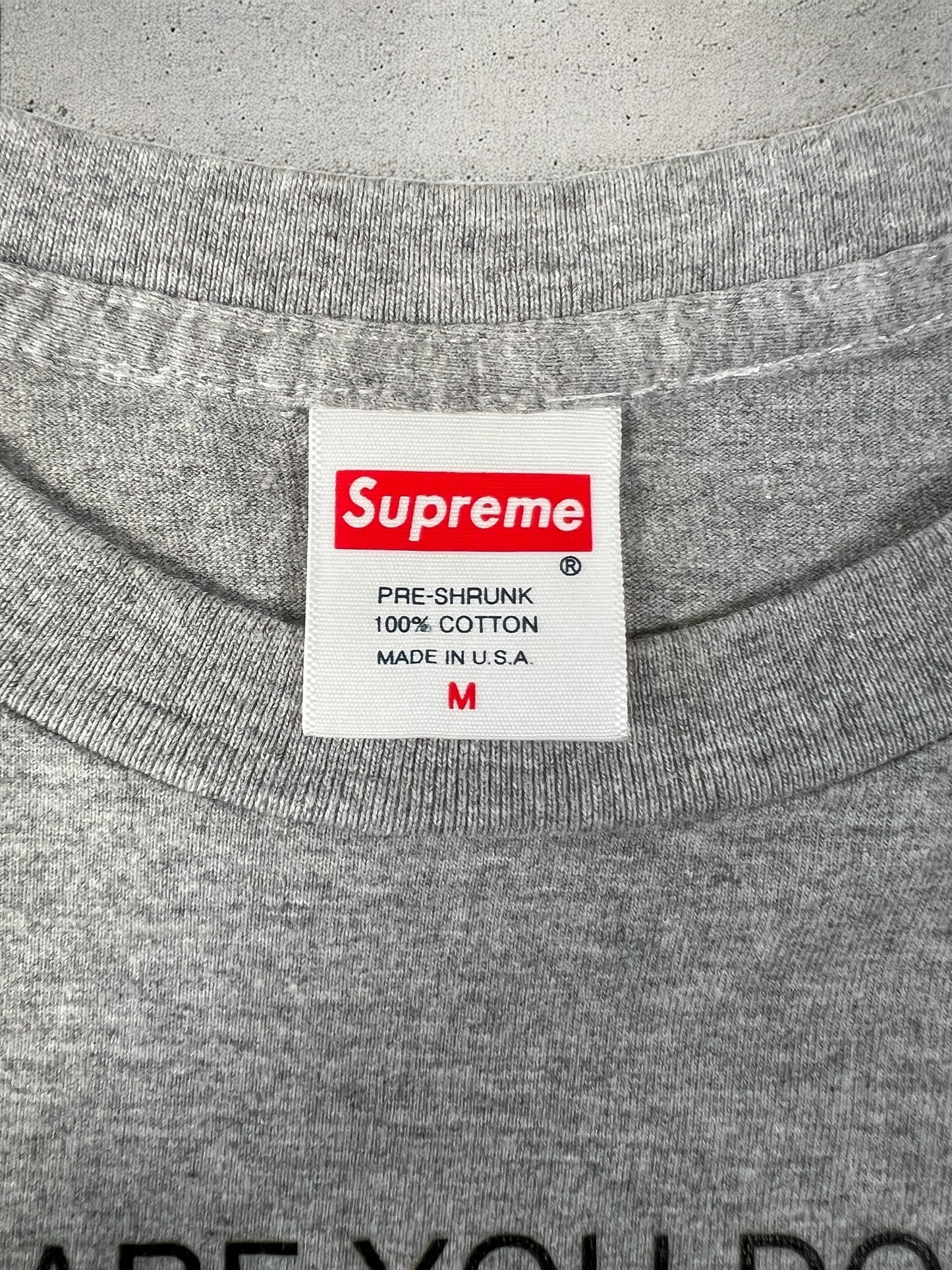 Supreme What Are You Doing After The Orgy? Grey T-shirt