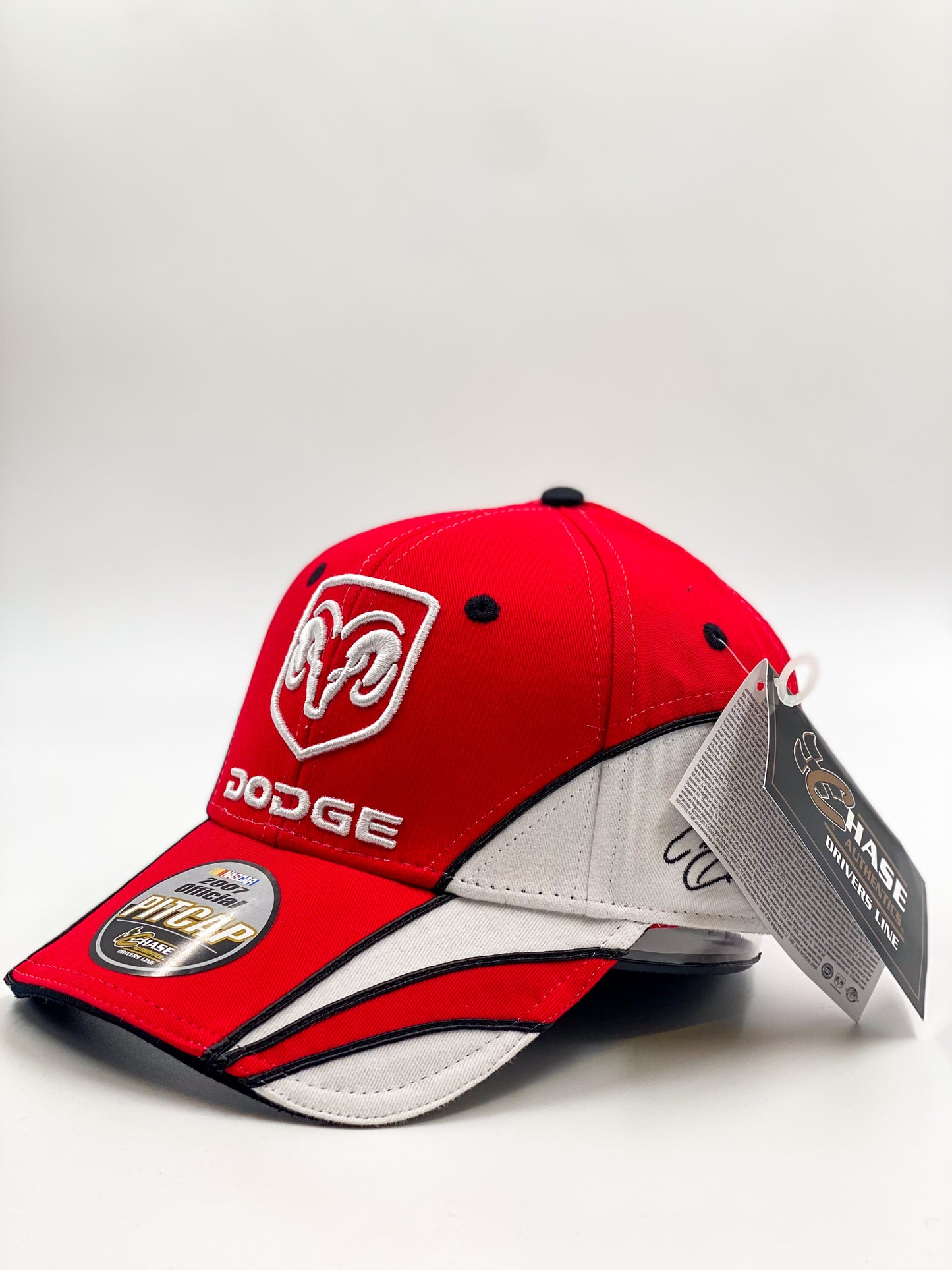 NASCAR Dodge Motorsport #19 Cap