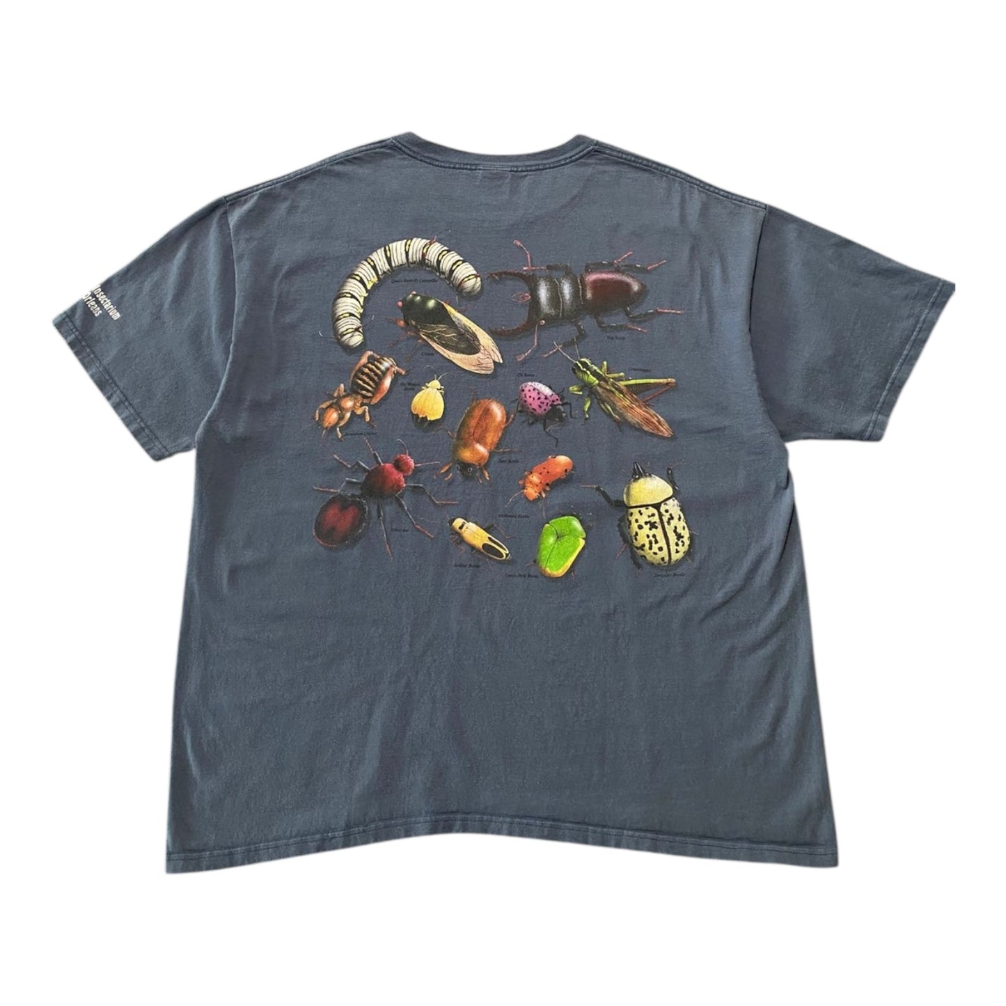 Audubon Insectarium New Orleans Bugs Graphic T-Shirt