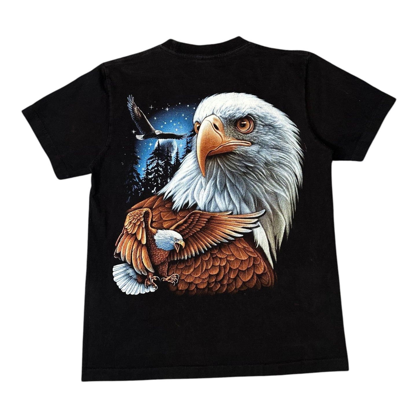 Rock Eagle Bald Eagle Nature Graphic Black T-shirt