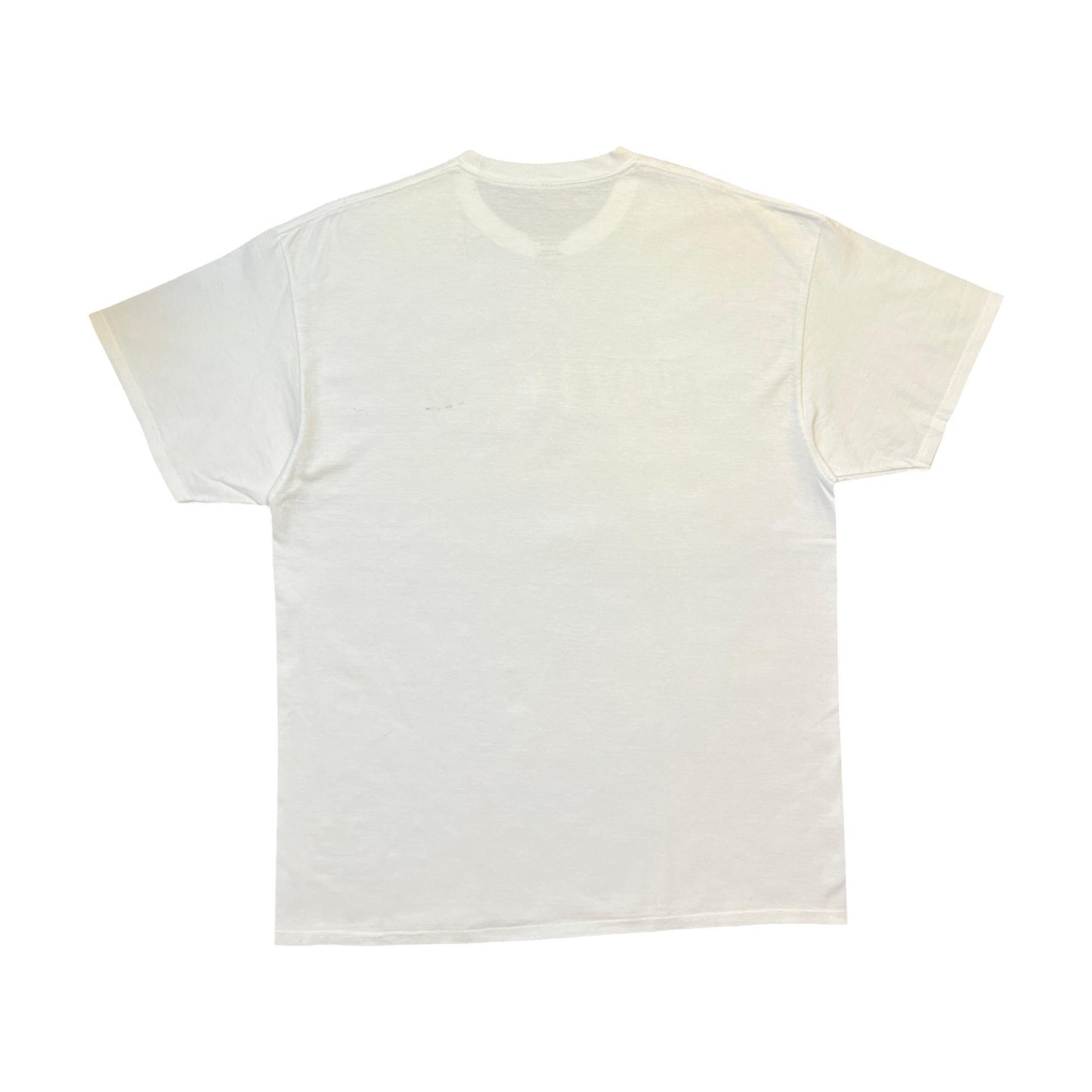Fucking Awesome Bikini Graphic T-Shirt