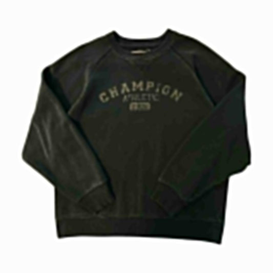 Champion Navy Sweater