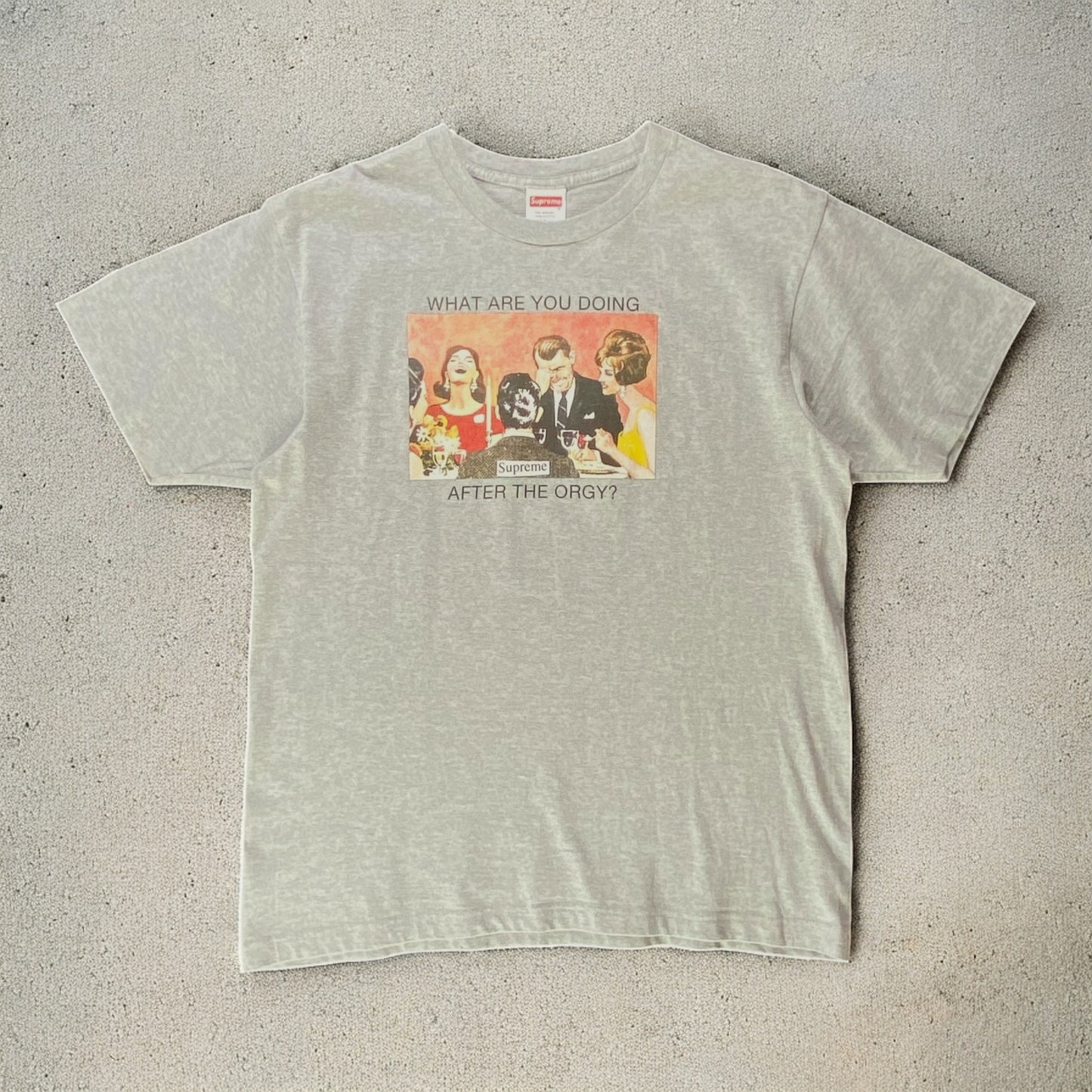 Supreme What Are You Doing After The Orgy? Grey T-shirt