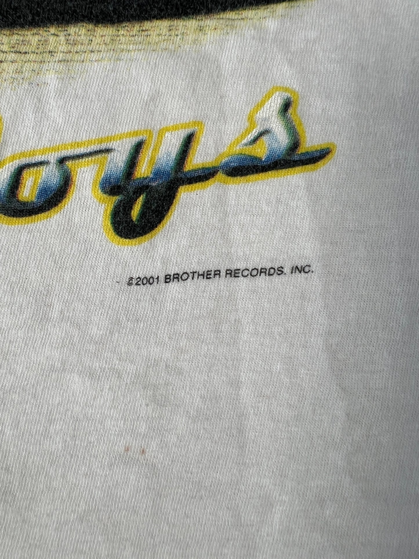 Surfin Safari The Beach Boys White T-shirt