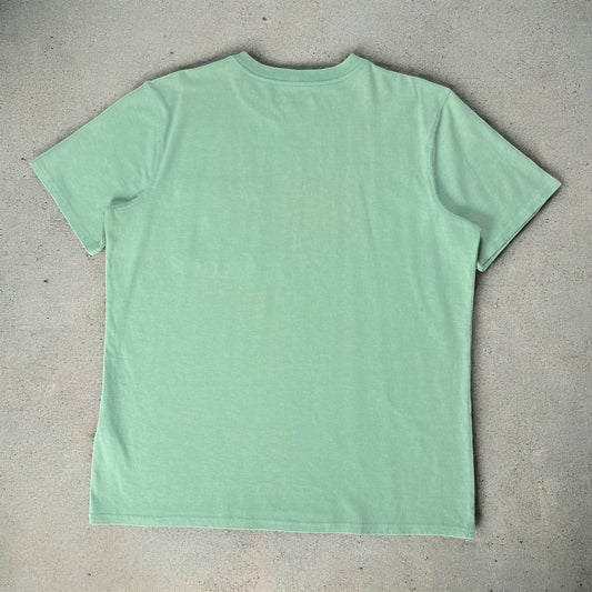 Carhartt Loose Fit Light Green T-shirt