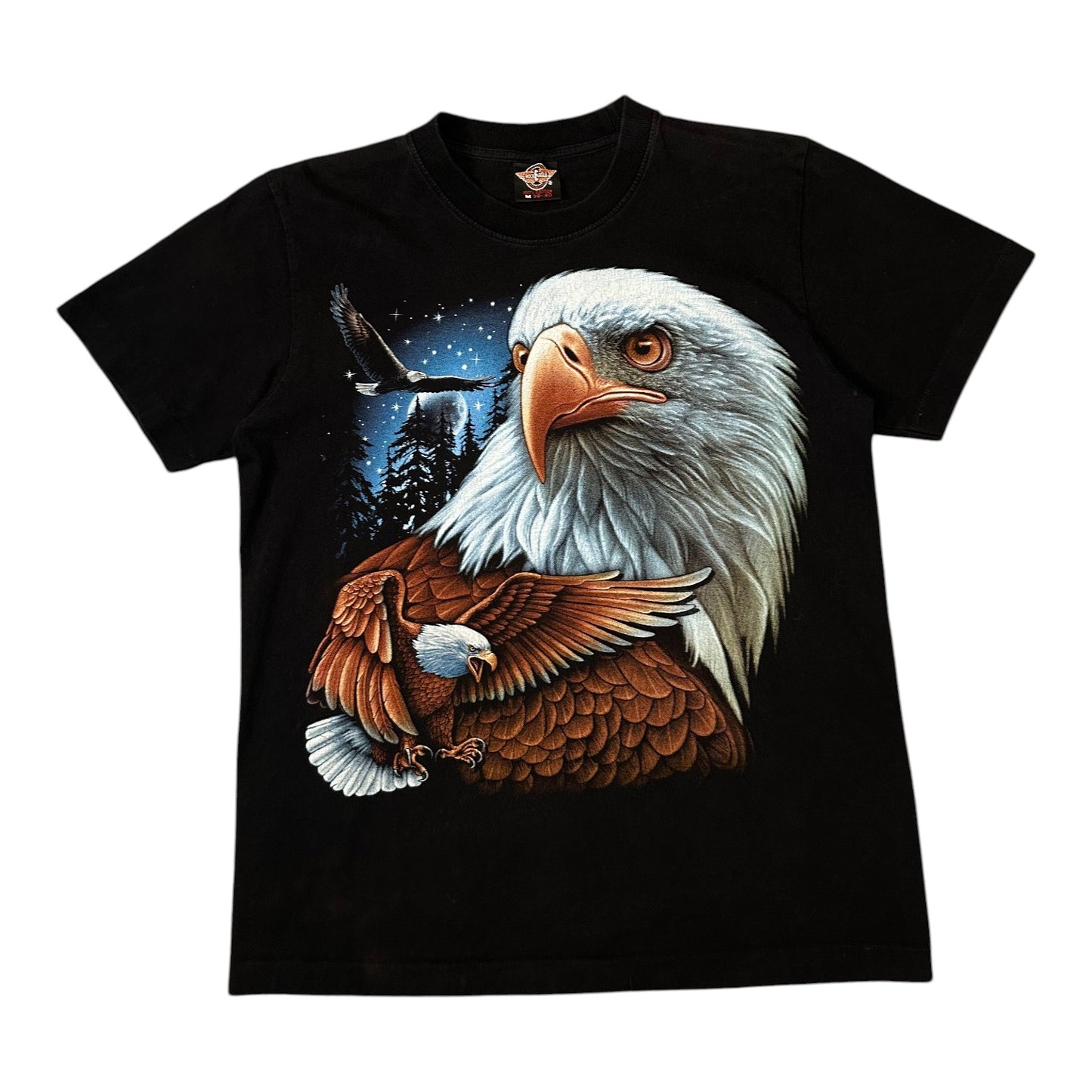 Rock Eagle Bald Eagle Nature Graphic Black T-shirt