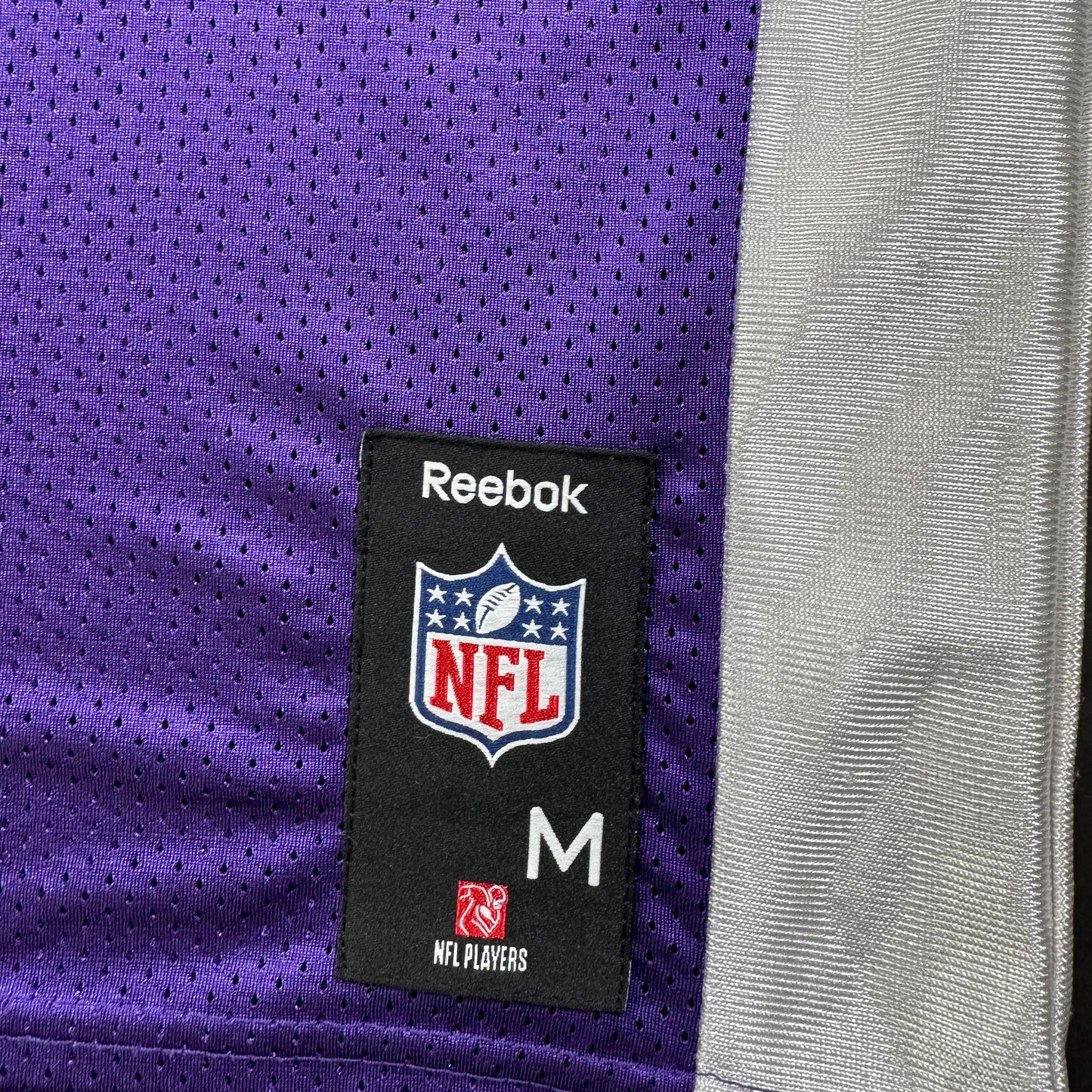 Reebok NFL Minnesota Vikings Antoine Winfield Purple Jersey