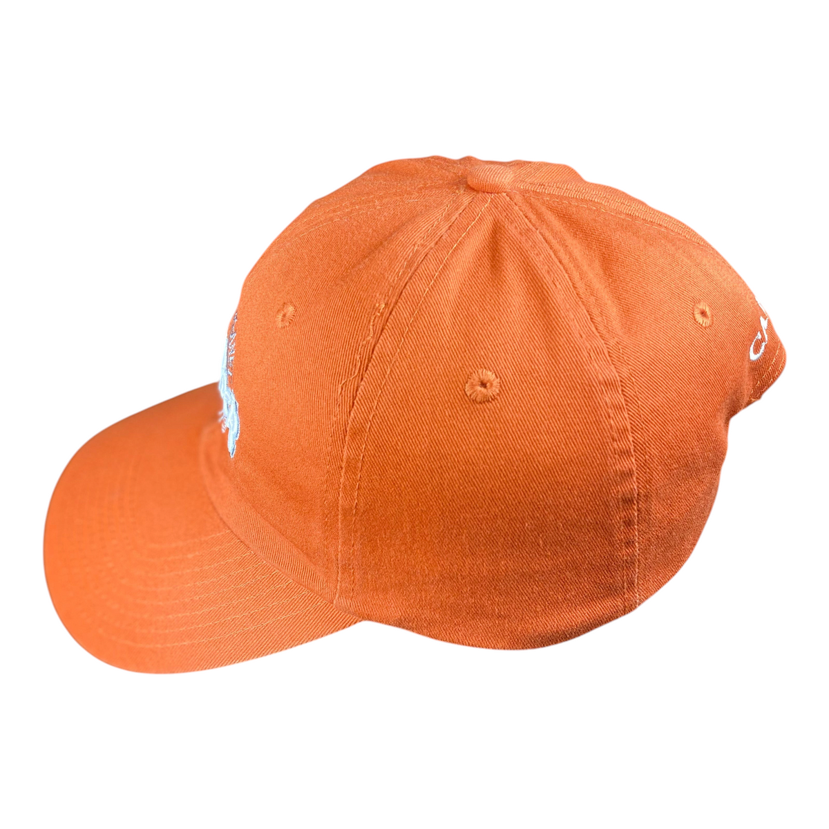 Digg It Thrift & Vintage burnt orange Hard Rock Cafe Cancun Save the Planet baseball cap with embroidered logo