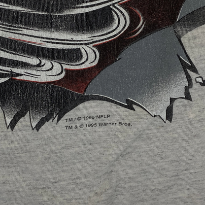 Vintage 1995 Looney Tunes x NFL Atlanta Falcons Taz Graphic T-Shirt