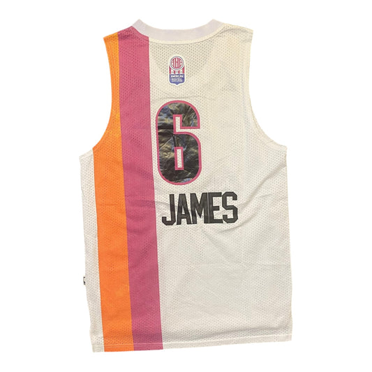 NBA Miami Heat #6 James Jersey