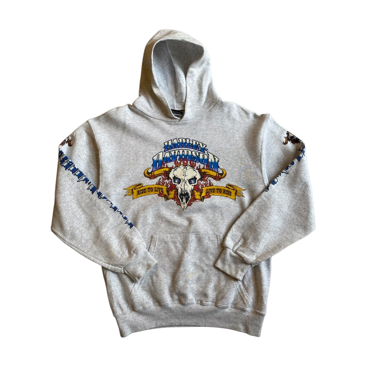 Vintage 1996 Harley Davidson Daytona Hoodie