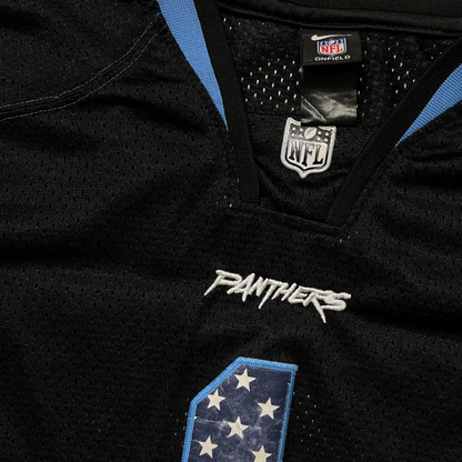 Nike Panthers "Newton" 1 Vintage NFL Jersey