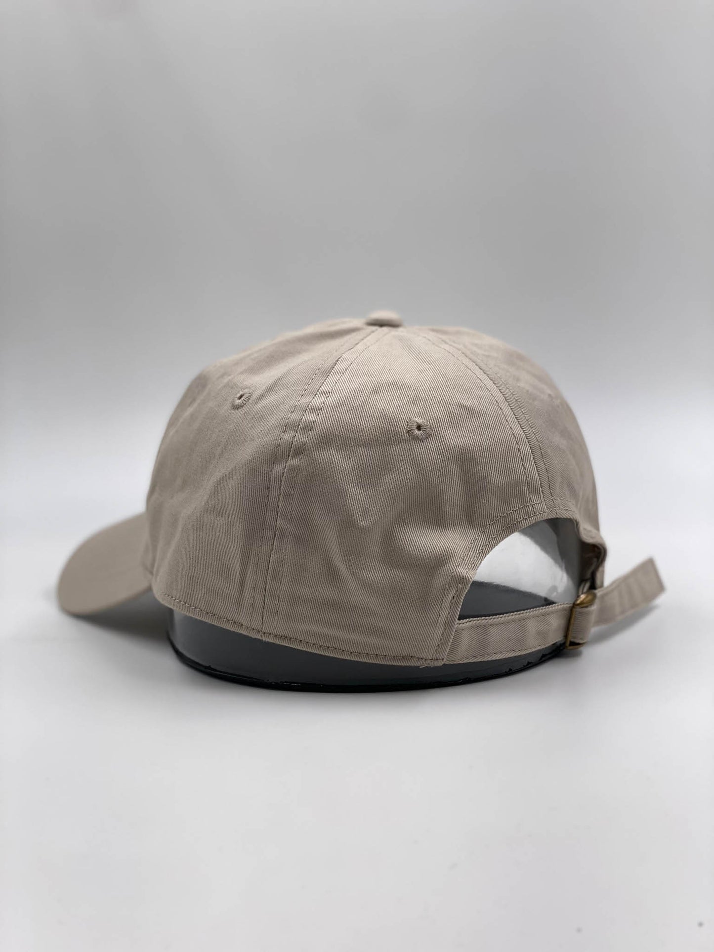 Star Wars Japanese Beige Cap
