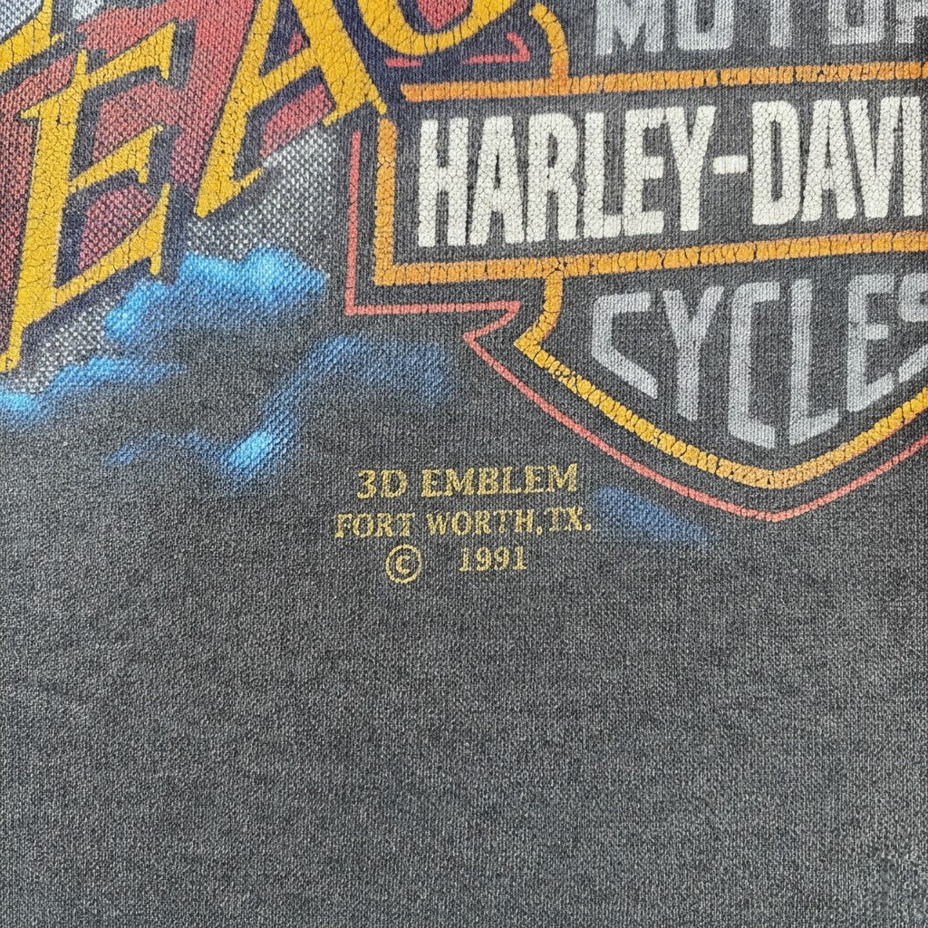 Digg It Thrift & Vintage 1991 Harley Davidson Follow The Eagle graphic t-shirt with 3D Emblem print detail