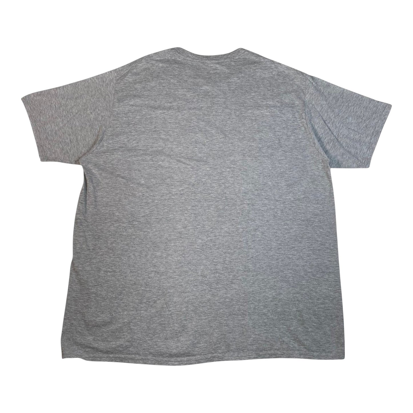 Digg It Thrift & Vintage grey short sleeve t-shirt, back view of a plain 2XL cotton crew neck tee.
