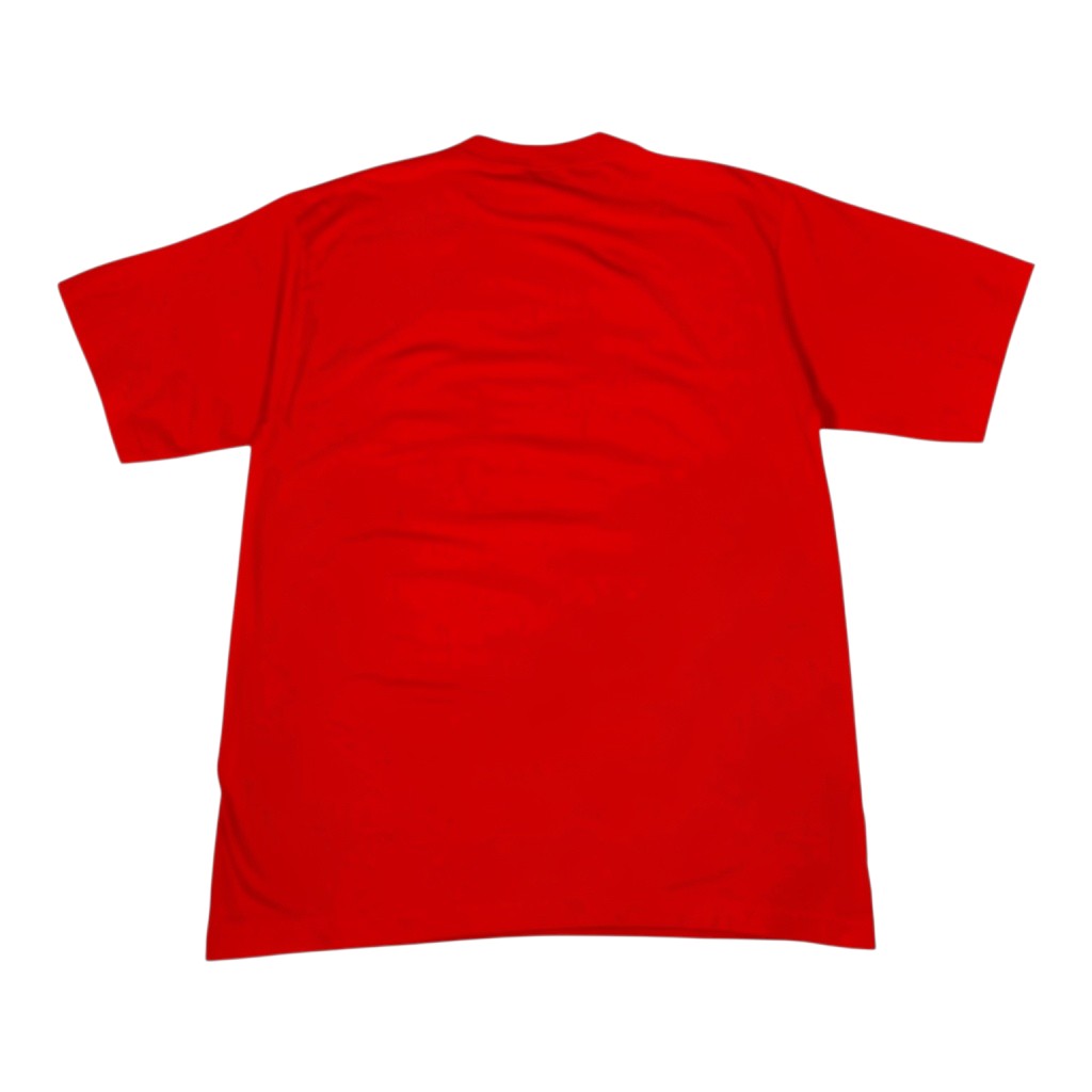 Digg It Thrift & Vintage red Michael Schumacher Formula One graphic t-shirt back view