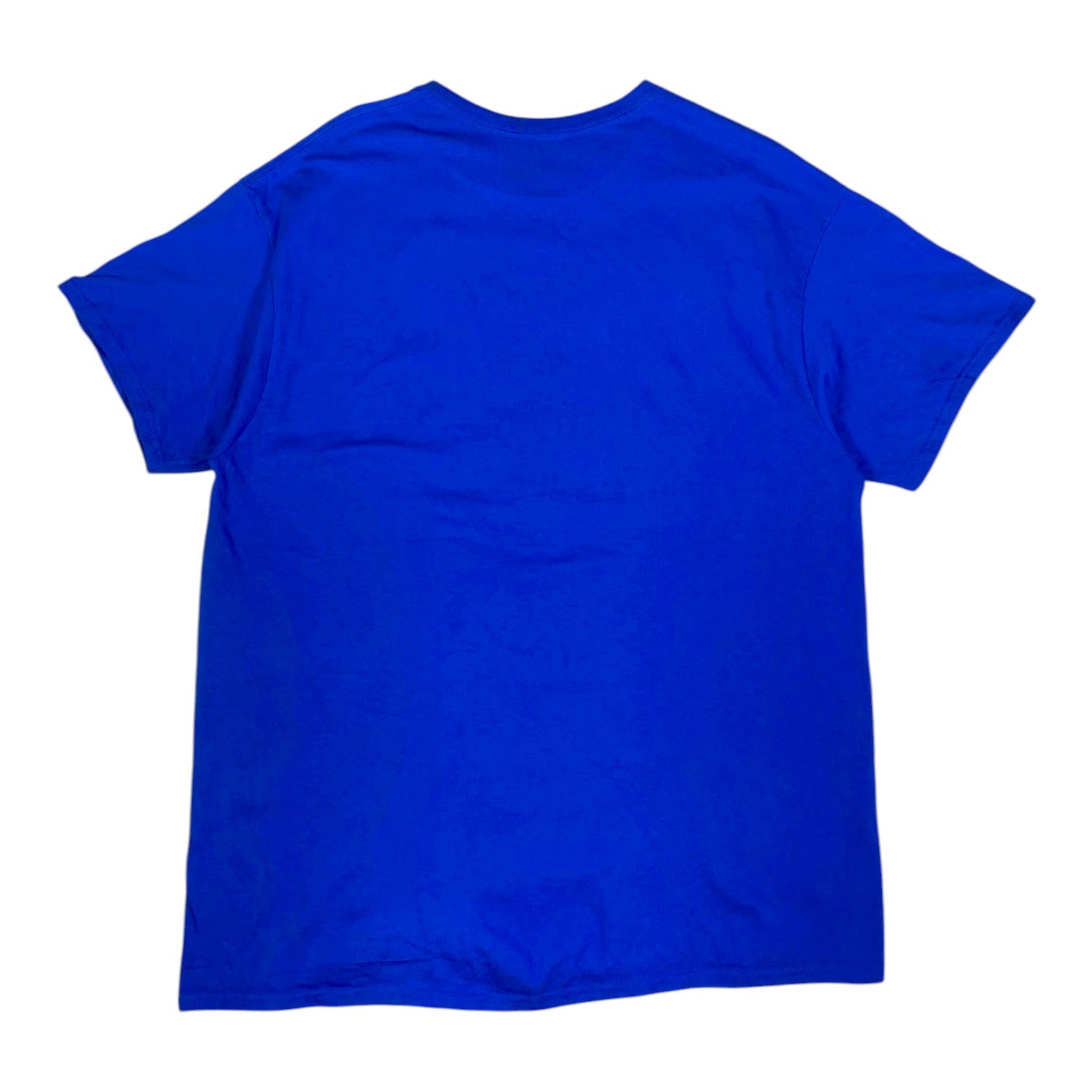 Back view of a plain royal blue NASCAR Daytona style t-shirt from Digg It Thrift & Vintage, size XL.