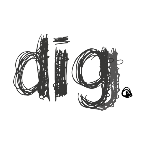 Digg It Thrift & Vintage 